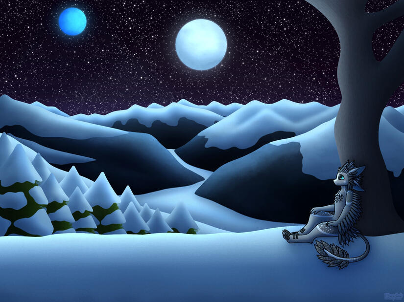 Discord Banner Discord Banner