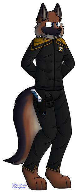 Fullbody for B727ClassicFlyer